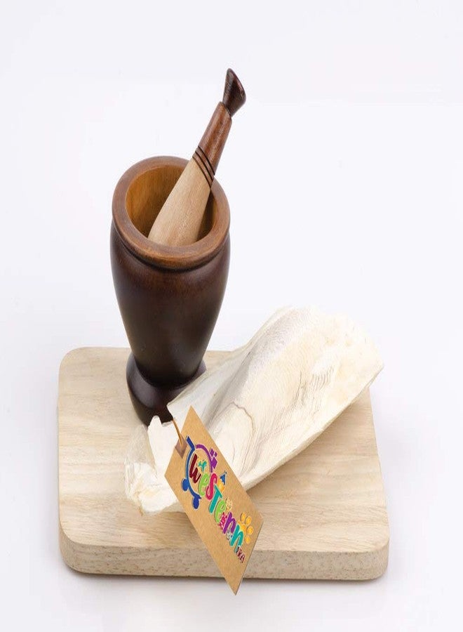 Western Era Natural High Calcium Source Cuttlebone Fish for Birds, Parrot (500grm) - Image 5